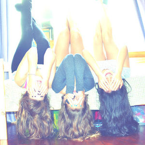 Meet your Posher, Phoebe